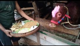 Tradisi Gumbreg , Wujud Syukur Warga atas Ternak dan Hasil Bumi